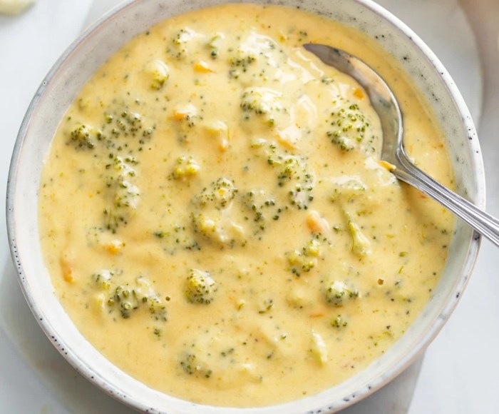 Broccoli cheddar soup recipe allrecipes