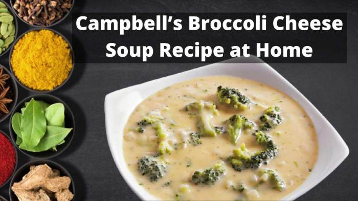 Campbell's broccoli cheese soup recipe