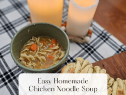 Soup Recipes Homemade A Culinary Journey