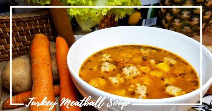 Turkey meatball soup recipe