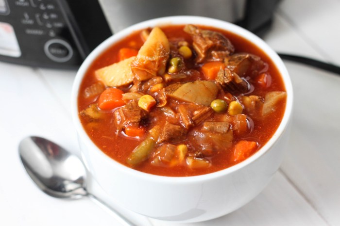 Veg beef soup recipes