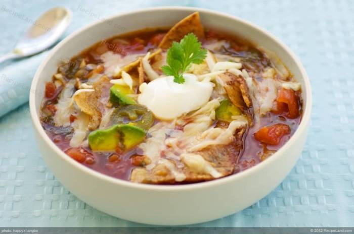 Azteca tortilla soup recipe